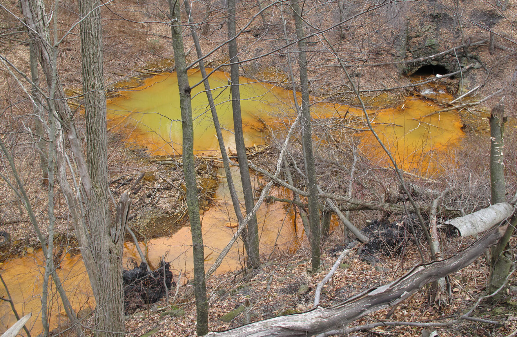 Acid mine drainage near Centralia, PA